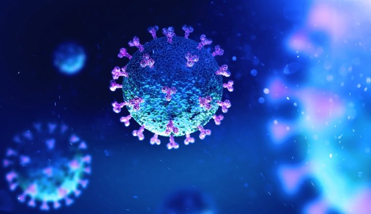blue-coronavirus-19