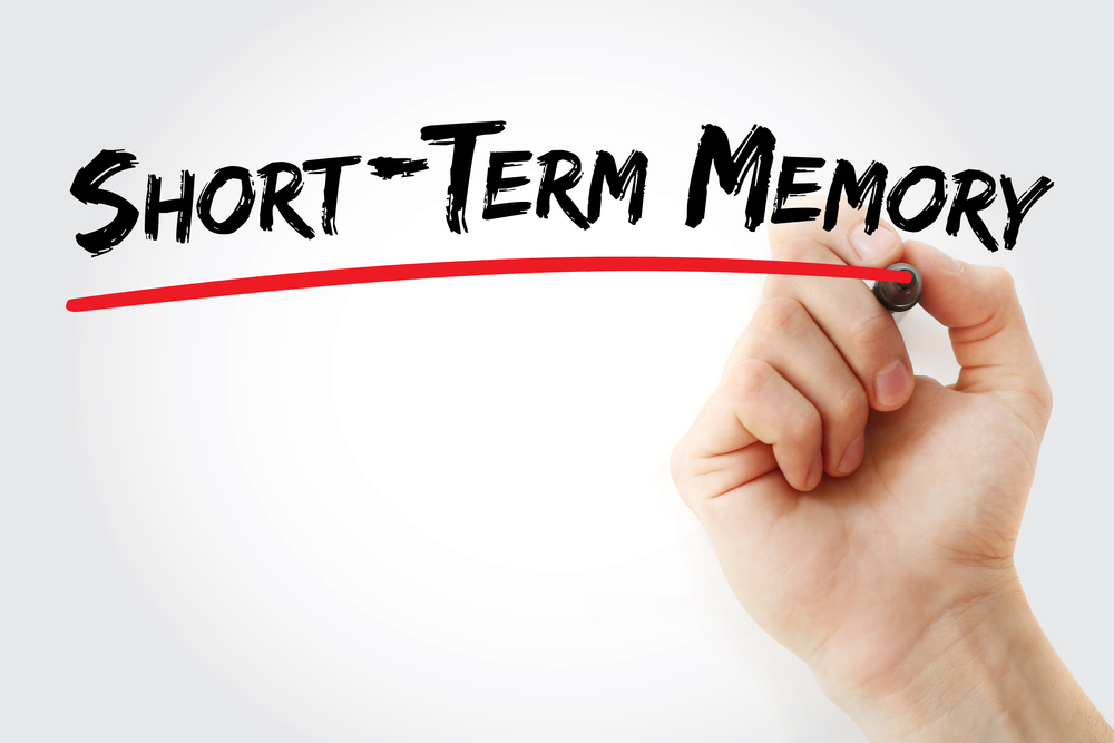 what is short term memory essay